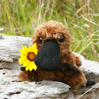 ups, wer ist den das?