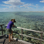 Wir bestaunen die ältesten, ersten Lebewesen der Erde: die unglaublich faszinierenden Stomatoliten!