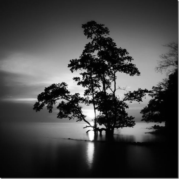 Fotografias em preto e branco do oceano (11)