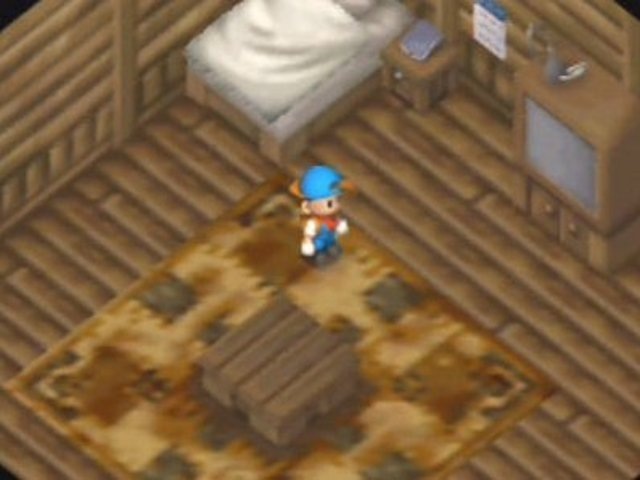 [harvestmoon_image3[6].jpg]