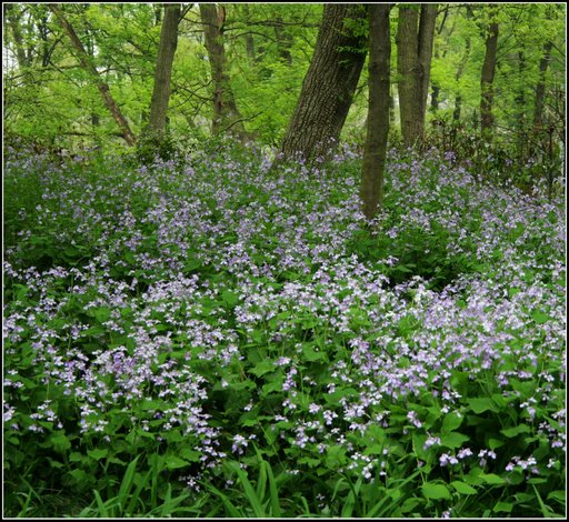 心曠神怡的[80P]