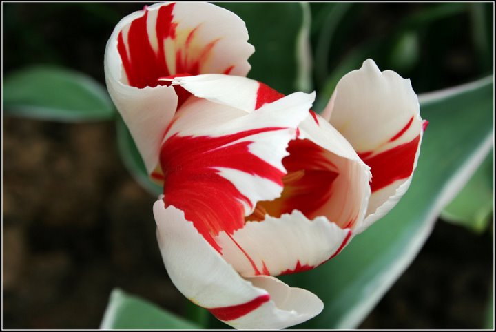 心曠神怡的[80P]