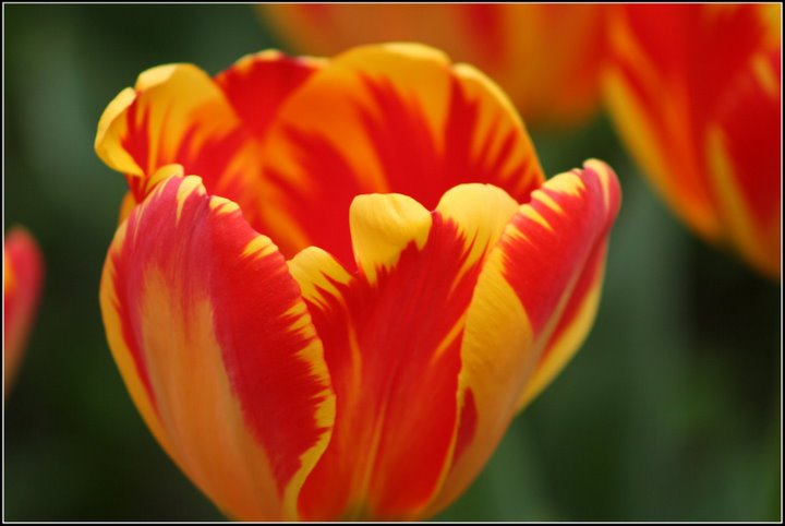 心曠神怡的[80P]