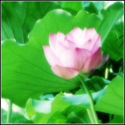 心曠神怡的[80P]