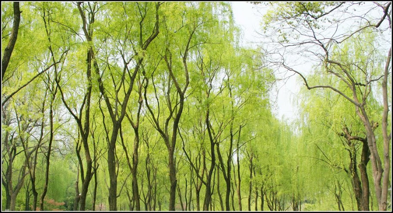 心曠神怡的[80P]