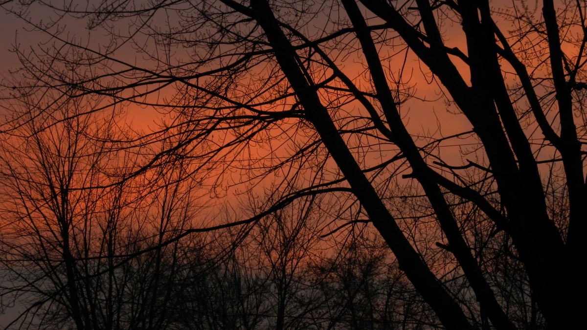 [Sunrise November 29 2010_1278Sunrise November 29 2010compressed[2].jpg]