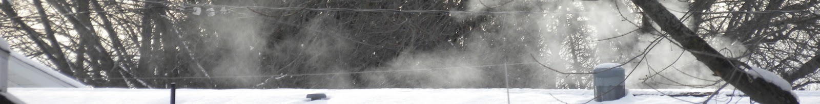 [Top for deepfreeze[15].jpg]