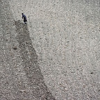 Untitled 1t.jpg