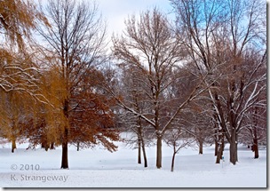 IMG_5059_1