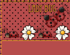 screenladybug