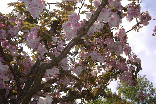 DSCF2811.JPG