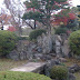 Fuzzy garden in the rain.