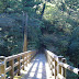Bridge.