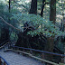 DSCF1583.JPG