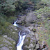 DSCF1600.JPG