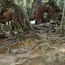 The path went through the tree again :D