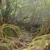 The path again XD