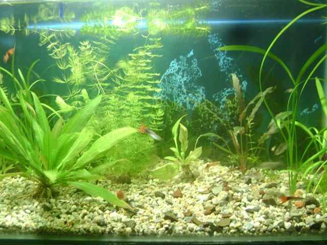 [DSC00080 (2)[7].jpg]