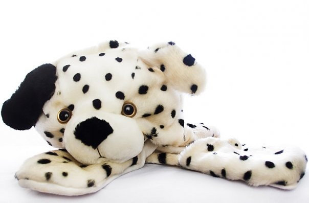 [dalmation24.jpg]