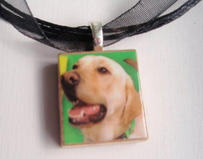 [dognecklace3.png]