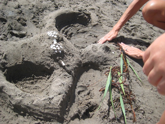 [IMG_27037.jpg]