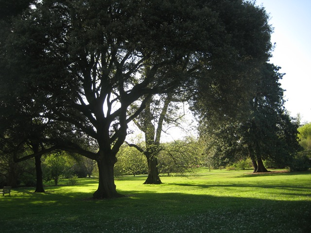 [IMG_59873.jpg]