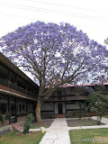 Jan-March07 276.jpg