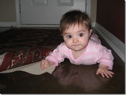 IMG_5976 IMG_5976