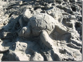 SandSculptureTurtle