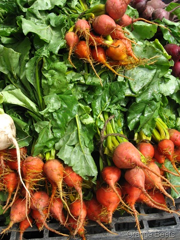 [beets orange[5].jpg]