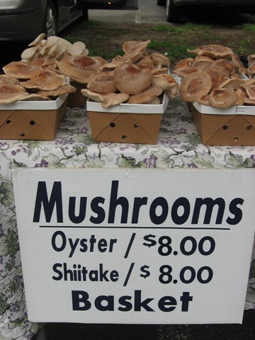 [mushrooms[6].jpg]