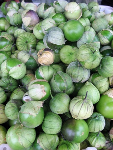 [tomatillos[2].jpg]