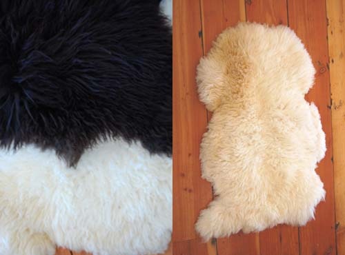 [awesome farm sheepskin pelt[1].jpg]