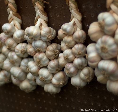 [garlic braid[1].jpg]