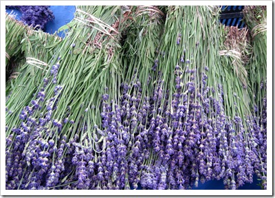 lavendar bunches