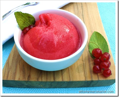 red currant sorbet with lime zest, ray tousey farm