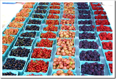 currants, raspberries, gooseberries, ray tousey, rhinebeck farmers market