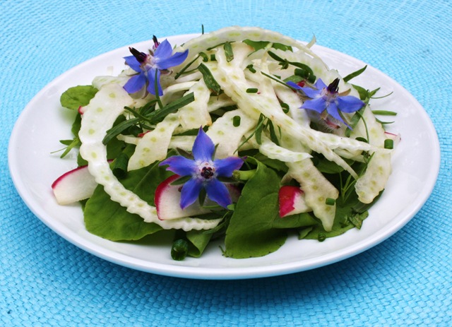 [fennelarugulaherbsaladwithboragetarr.jpg]