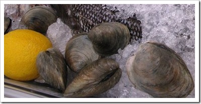 little neck clams