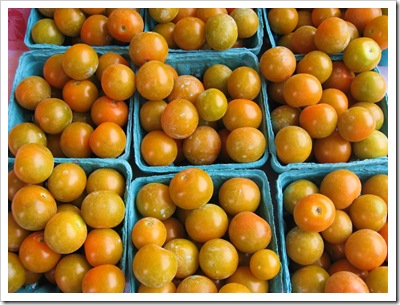 sungolds