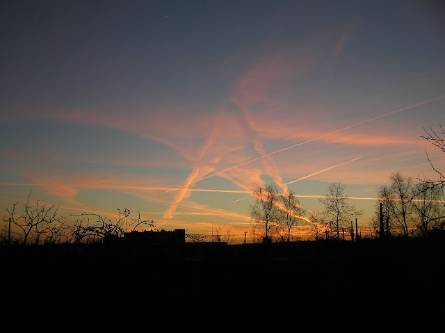 http://lh4.ggpht.com/_xfaHsOiX2kQ/SyAOaVkehyI/AAAAAAAAAJk/8h73bqScuZA/s640/P3250127.JPG