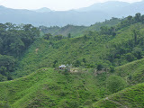 P1070088.JPG