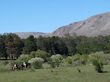 Vert, chevaux, collines