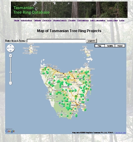 SPELLING GUIDELINES Developed Summer 2009 FOR GRADES 1-3 CVC, CVCE