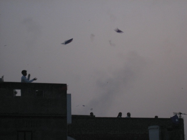 [IMG_41271.jpg]
