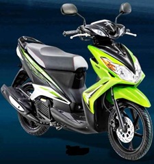 2010 Yamaha Xeon