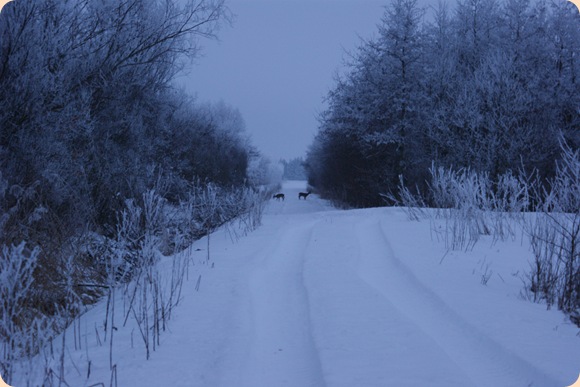 DSC00845