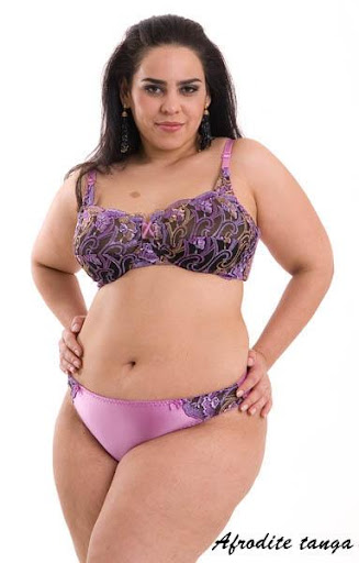 plus size bra lingerie