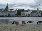 P6302036.JPG