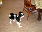 IMG_2898.JPG